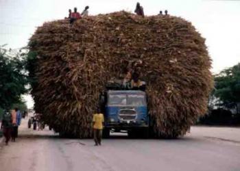 20070405381174749932