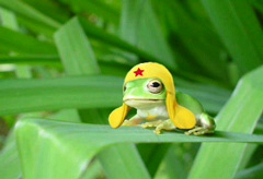 20070624732703991143