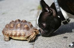 20070403301002779778