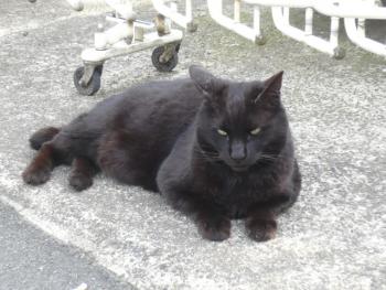 ファイル名: P1020146.jpg
ファイルサイズ: 156.6KB
→クリックで元のサイズを表示