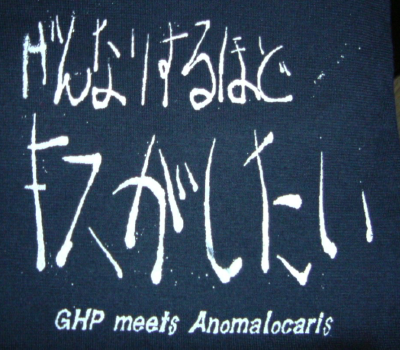 �V��s�V���c�v�����g���g��ʐ^