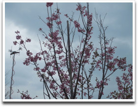 ���d���͎c���Ă���