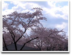 ����Ȃ킯�ŁA���Q