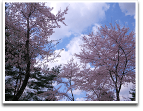 ����Ȃ킯�ŁA���R