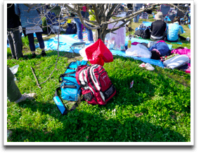 ����Ȋ���