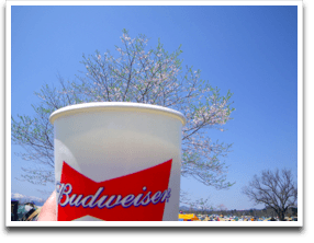 �킩��₷���Ƃ���Ɍ��Ă�