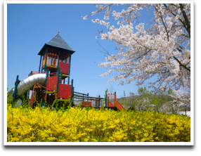 ���̃A���O�������ARABAKI���ۂ��Ǝv��