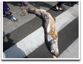 �C���i�IARABAKI������H�ׂ��ɂ����Ȃ��C���i!!