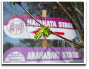 �����ł��r�b�N�����邮�炢�ǂ��B�ꂽ�ʐ^