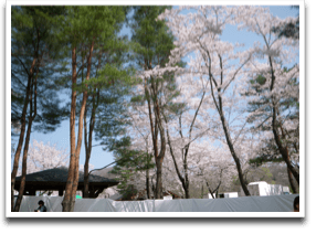 �ΐF�ƍ��F�̃R���{