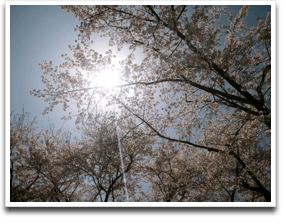 �o���ɂ��݂��������̂Q