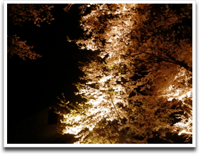 ������̂Q