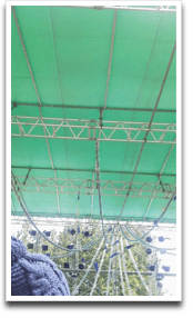 ���̏���������B�Ȃ񂩂ˁB