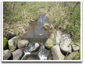 ����Ƃ���ɃS�������Ƃ�����΂����̂�