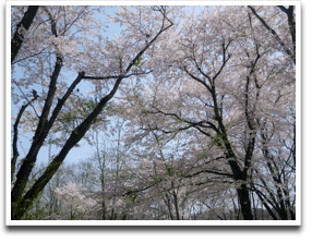 ��������ς��Y��ł���