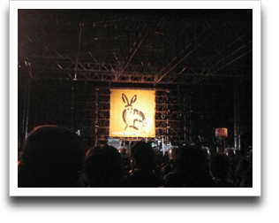 ���͎B�e�֎~�������̂�����ǁE�E�E