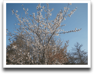 �����炢�ĂȂ������킯�ł͂Ȃ��̂ł�