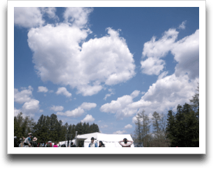 ���̐�Ɩȉ_�I