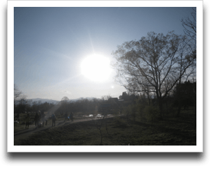 ���X�ɕ�����ARABAKI