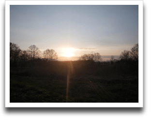 �[�z�����ލ���