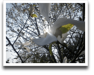 �����Ō����̂��Ȃ񂾂��ǁA��ՓI�Ȉꖇ