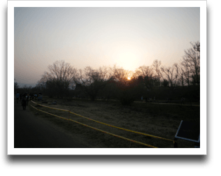 �������Ă����̂�