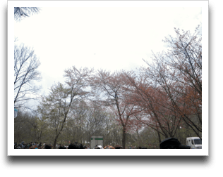 �S�R�ʂ��ĂȂ����ǁA������Q