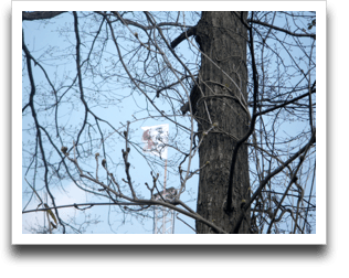 �}�z���Ɋ����B������