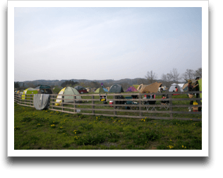 �[���̉Ԋ}�e���g�T�C�g