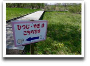 ���C�ɂ���ʐ^����ԍD��