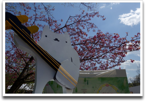 ���̎ʐ^�A�s�V���c�ɂ��������ǁA�{���邩�Ȃ��B