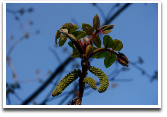 �V������������Ă����܂�