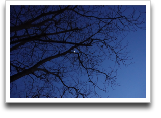 �����l�I