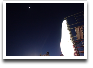 ����E�T�M�̌������ɂ����l