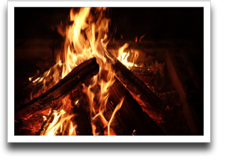 �L�����v�t�@�C�A�R