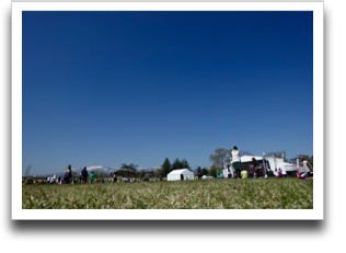 �������Y��ł���