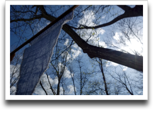 ��ƃy�i���g