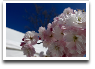 ���d�����̂P