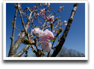 ���d�����̂Q