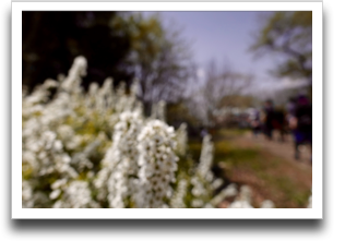 Photos�̎����␳�łȂ񂩂������Ȏʐ^�ɂȂ��Ă��܂���