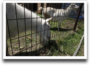 �ߊ���Ă݂�