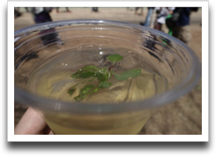 �V���v���ȃ��q�[�g