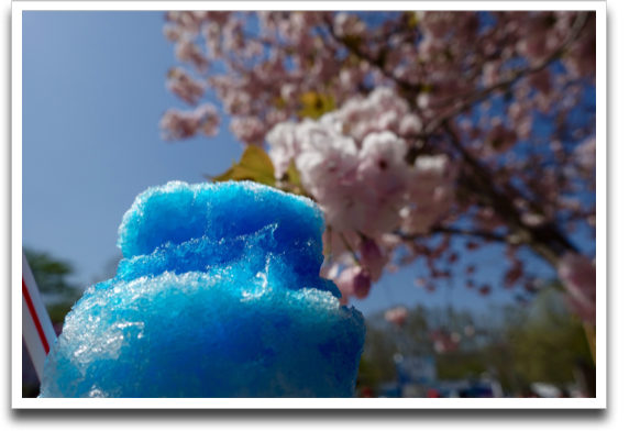 �u���[�n���C�I