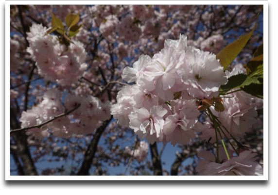 ���d���Ɋ���Ă݂�