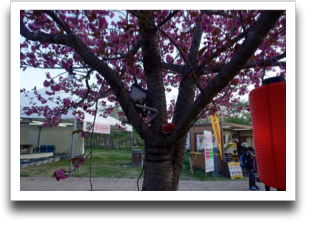 ���d���͐F�Z���Ȃ�