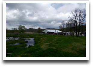 ������Ɖ����Ɍ�����Ԋ}