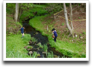 ��ŗV�Ԃ̂͊y�������