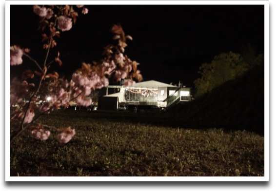 ���z���ɔ։z�̃o�b�N�V���b�g