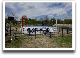 �݂��v���̃����O�I