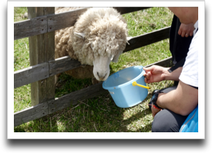 ��̃o�P�c�͂���Ȃ���I